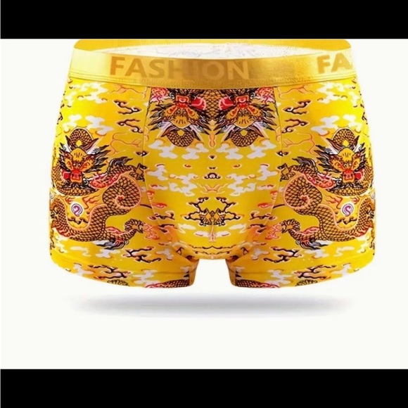 Bundle of 4 Dragon Print Men's Fashion Breathable Boxer Briefs, Size Medium - Picture 3 of 8